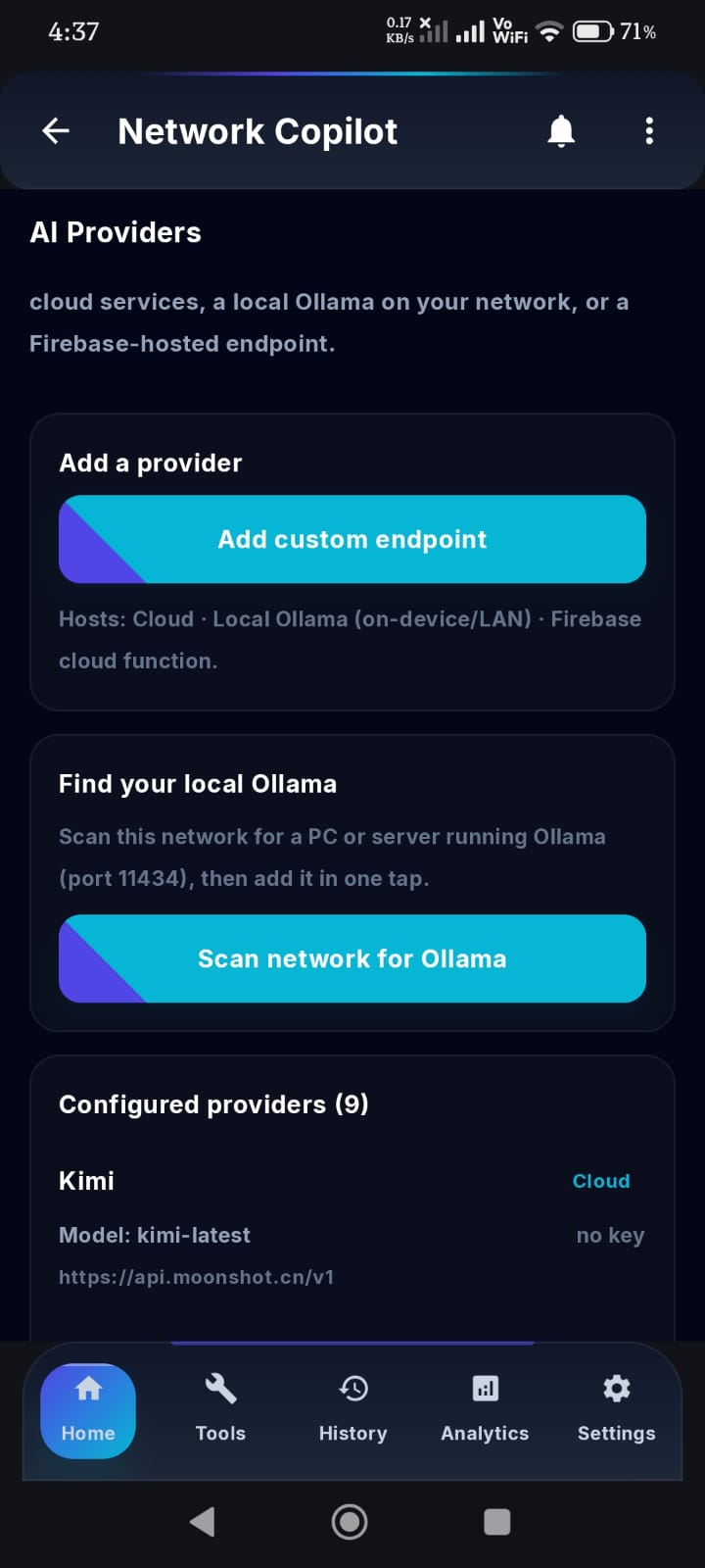 Network Copilot AI providers and local Ollama scanning